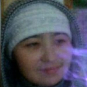 Рисунок профиля (Dia1946)