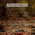 Ноябрь